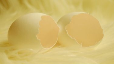 Yumurta Akı Maskesi Tarifleri